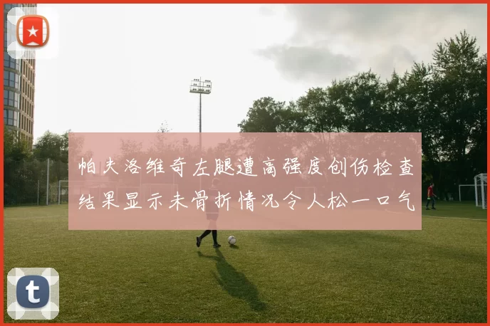 帕夫洛维奇左腿遭高强度创伤检查结果显示未骨折情况令人松一口气